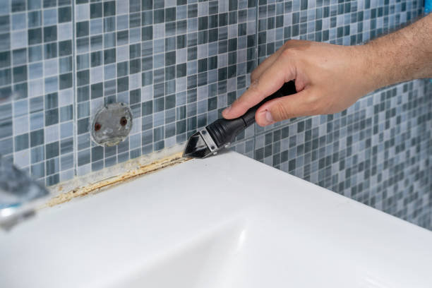 Trusted Geneva, AL Mold Removal Experts