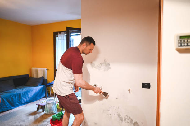 Mold Removal and Inspection in Geneva, AL